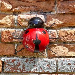 Large Wall Art Metal Ladybird Ornament