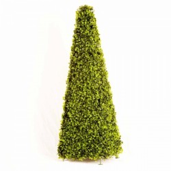 Smart Garden 60cm Boxwood Obelisk