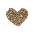 Fruit & Vegetable Seeds